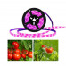 LED pásik na pestovanie rastlín , 4W, 180 LED , 3 m , USB ukončenie ,fialové / modré svetlo , LEDISSIMO GROW